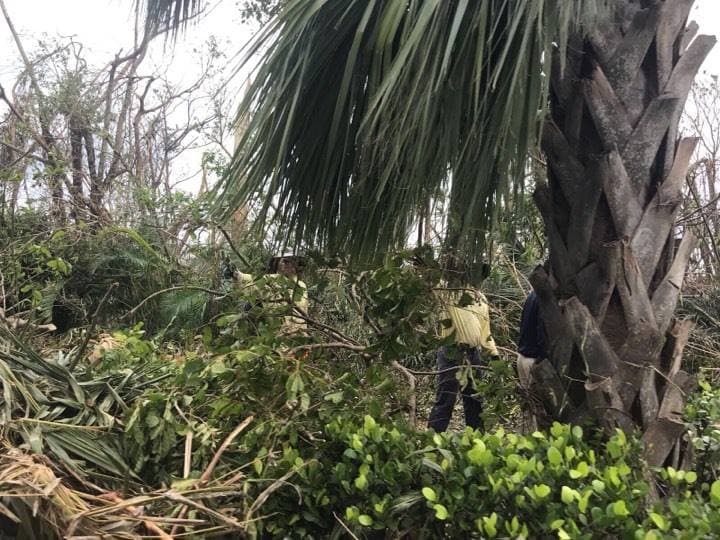 Así luce Dorado, también llamado el "Paraíso de Puerto Rico", tras el paso del huracán María