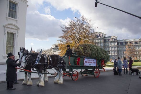 Procede de una granja en Lehighton, en Pensilvania.