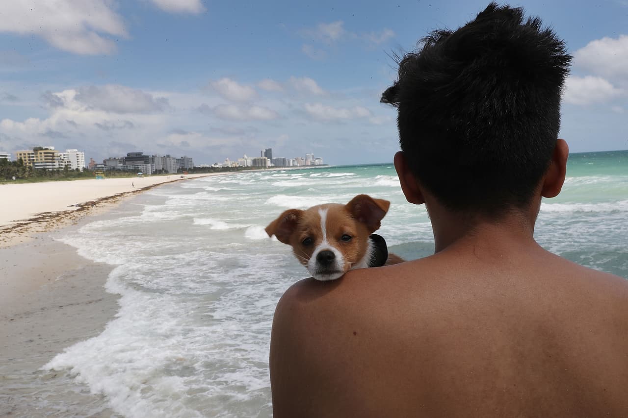 Tras ordenar la evacuación de 600,000 personas, Miami pide a residentes que acojan a familiares y amigos ante falta de refugios