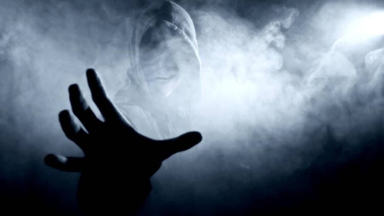 <b>El hombre de la carne</b>
<br>En la
<b>habitación 220</b> se puede encontrar a un extraño huésped que en vida era conocido por su extraña costumbre de colgar carne cruda en el candelabro del cuarto. En 1980 fue encontrado muerto en la habitación y desde entonces, es común que la televisión actúe por sí sola, así como informes de manos frías de hombre que tocan a los invitados mientras duermen.