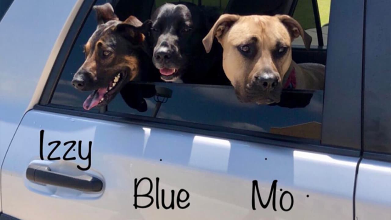 <b>Nina</b>: Más que listos para un paseo al parque.