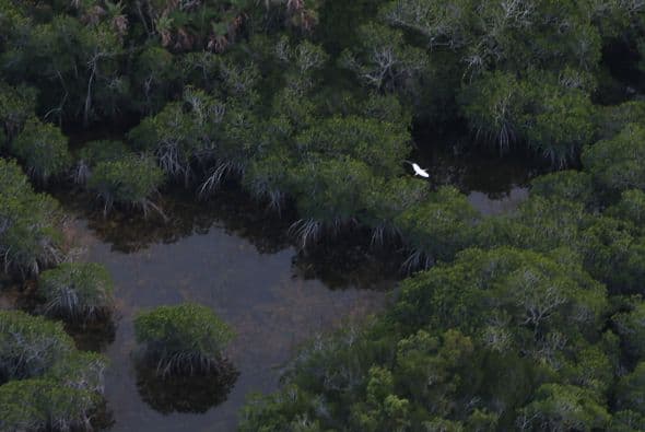 Para más información visite: http://www.nps.gov/npweek/