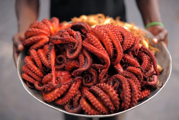 El caso del hombre que se asfixió y luego sufrió un paro cardíaco tras comer un 'pulpo vivo'