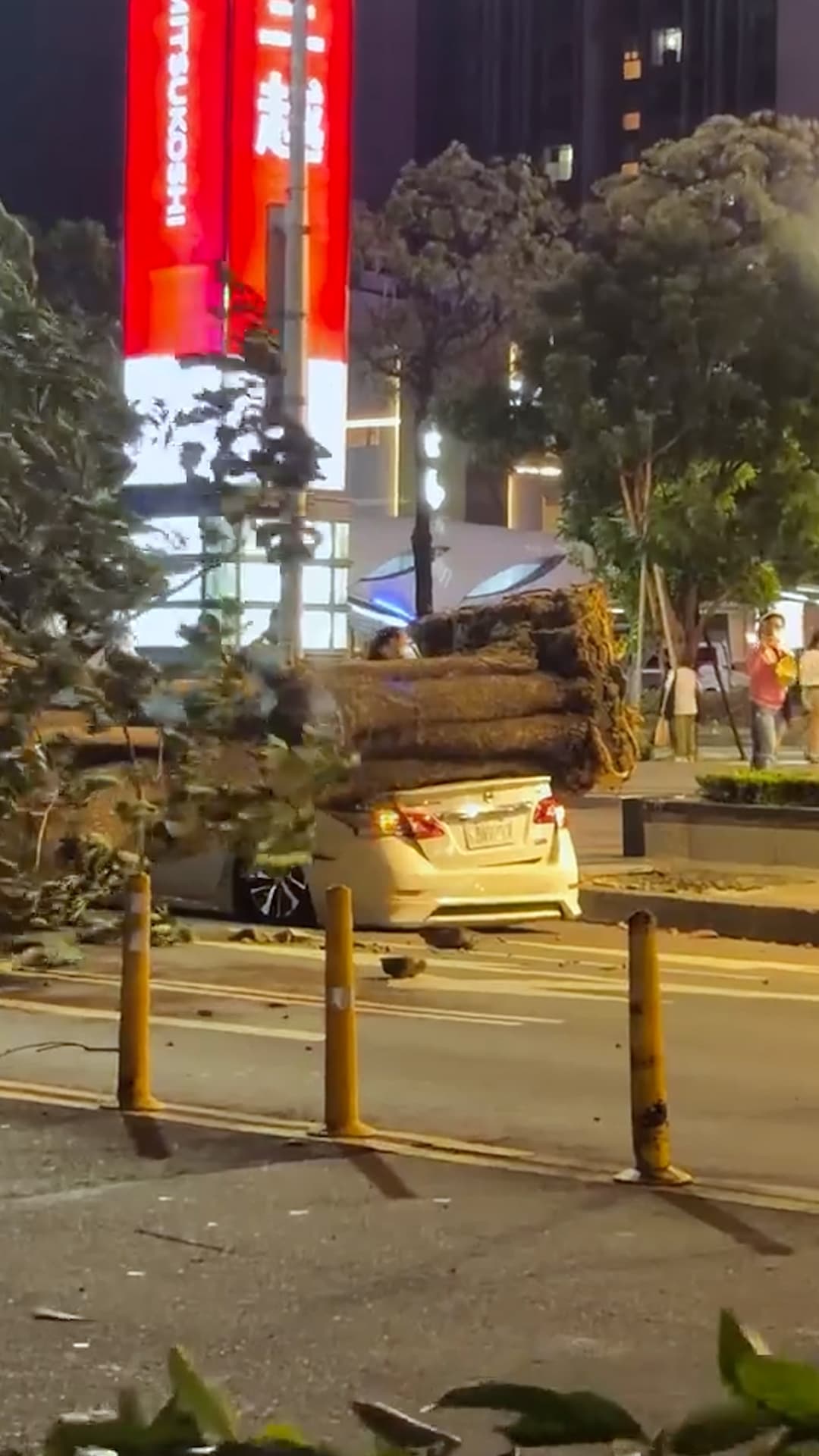 Un árbol cae sobre un auto durante el tifón Champi en Taiwán