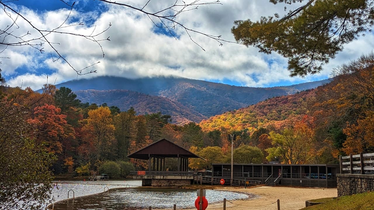 Encuentra más información sobre el parque, 
<b><a href="https://gastateparks.org/Vogel">aquí</a></b>.