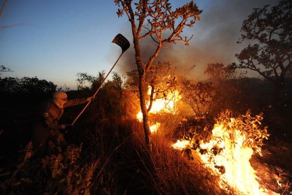 Uno de estos incendios afectó una línea de alta tensión de la Compañía Eléctrica de Brasilia, lo que causó un corte de energía en una parte de la ciudad.