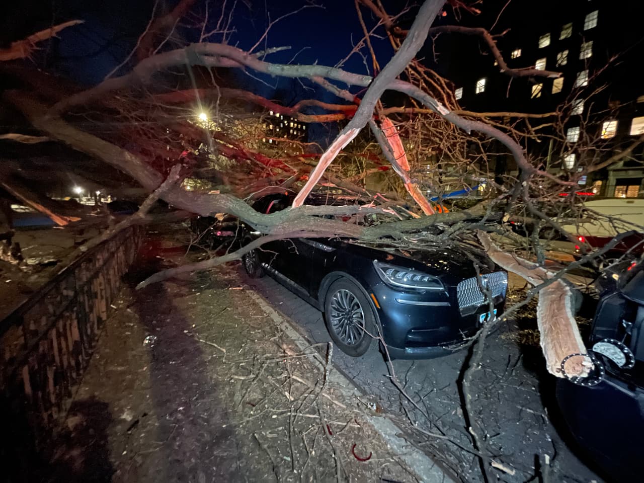 Fuertes vientos provocan caída de enorme árbol sobre autos en UWS