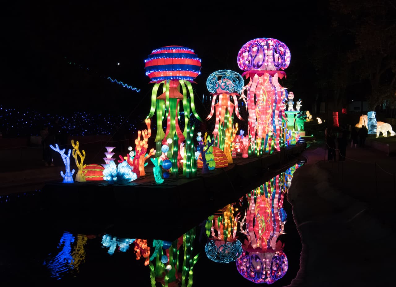 Arte, tradición, magia y cultura son las propuestas del Chinese Lantern Festival, una exposición de miles de luces con representaciones de animales hechas totalmente a mano.