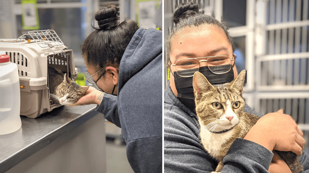 San Antonio Animal Care Services localizó a la guardiana de Monkey Face, la gatita texana, por medio del microchip y las redes sociales.
