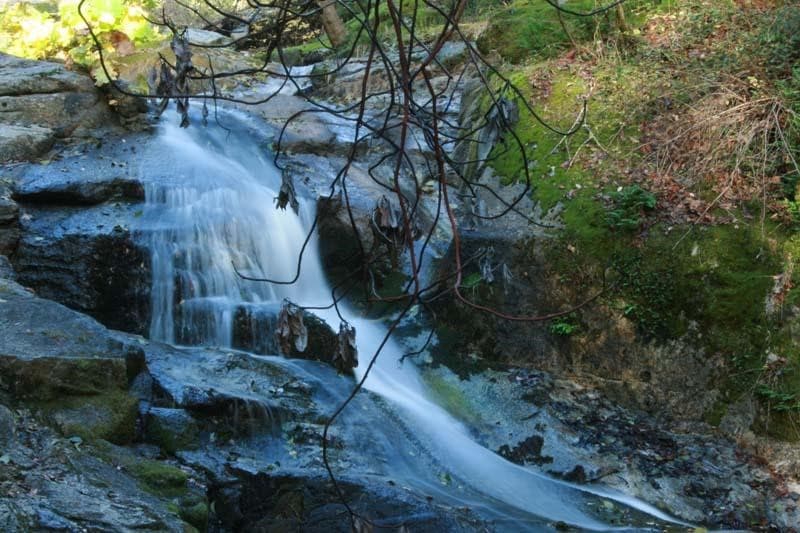 Con una altura de más de 600 pies, Feather Falls se encuentra entre las cataratas más altas de los Estados Unidos. La caminata hacia la cascada es una buena manera de pasar la tarde, cuyo camino lo llevará a través de increíbles vistas del cañón, caminos de flores silvestres y, en última instancia, te encontrarás con la hermosa caída de agua.
<br>