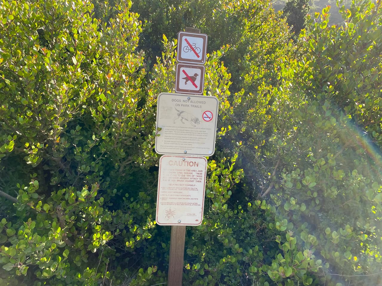 Las garrapatas son algunos de los insectos naturales del ecosistema de montaña. Paseos largos o cortos no disminuirán los riesgos de sus picaduras, por lo que te recomendamos untarte un repelente antes de subir a la montaña.