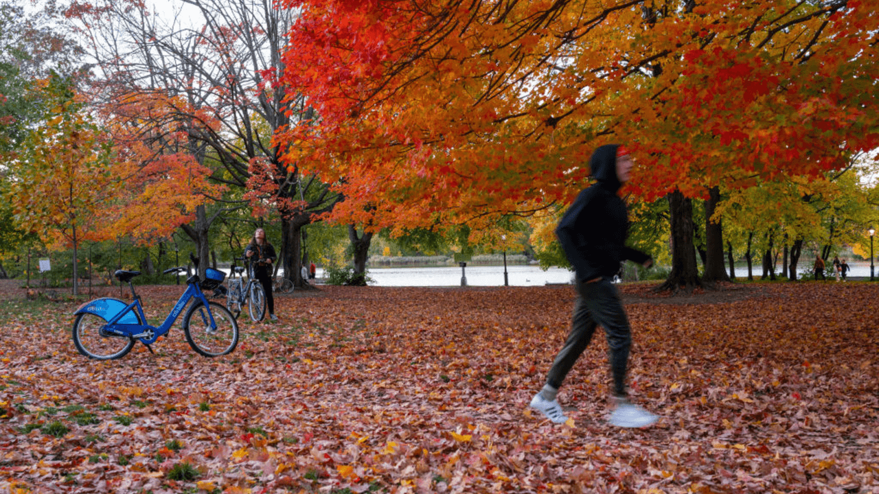 Otoño llegará a Nueva York con temperaturas bajas, lluvias y menos luz de día