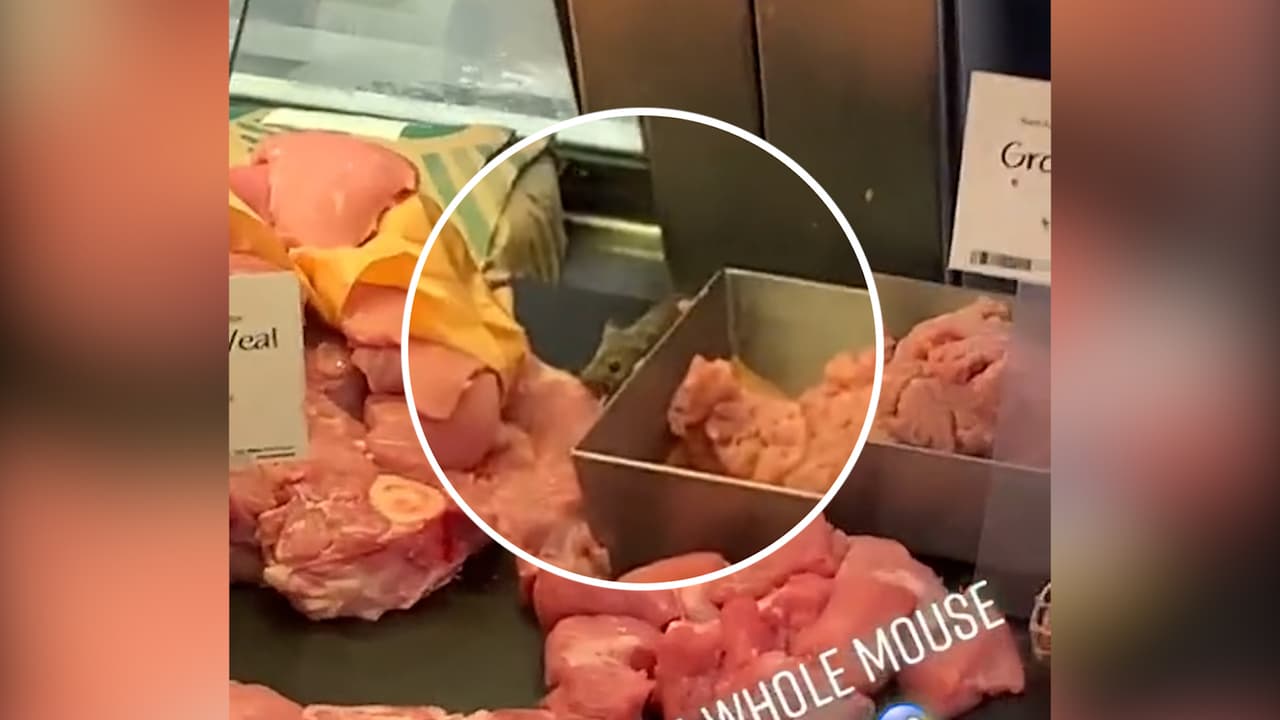 <b><a href="https://www.univision.com/local/nueva-york-wxtv/raton-es-captado-en-camara-comiendo-carne-dentro-de-una-vitrina-de-un-whole-foods-de-manhattan-video">Video muestra a ratón comiendo carne dentro de una vitrina en Whole Foods </a></b>