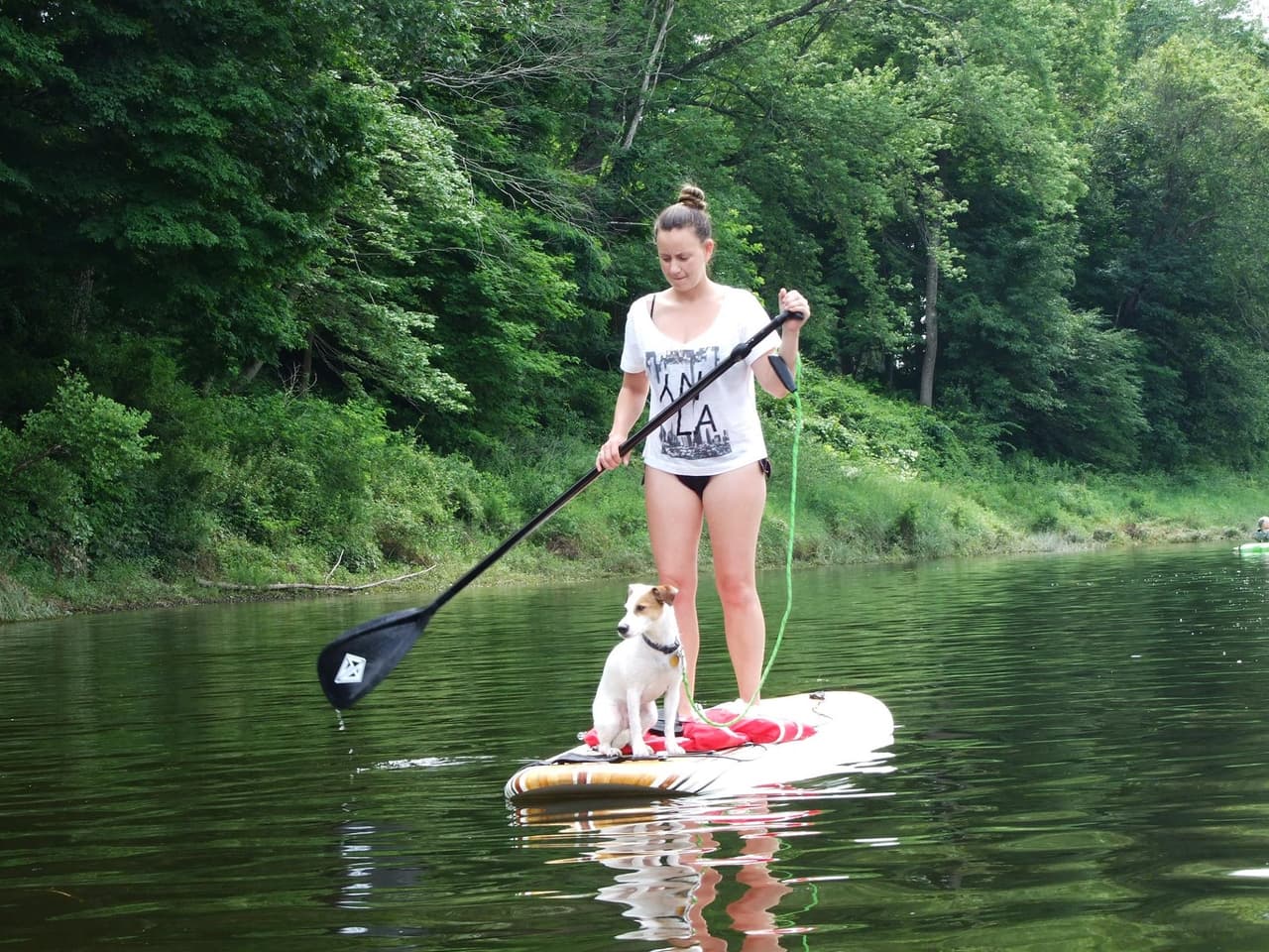El parque ofrece oportunidades de recreación al aire libre mientras conserva los recursos naturales, culturales y escénicos del área de recreación.