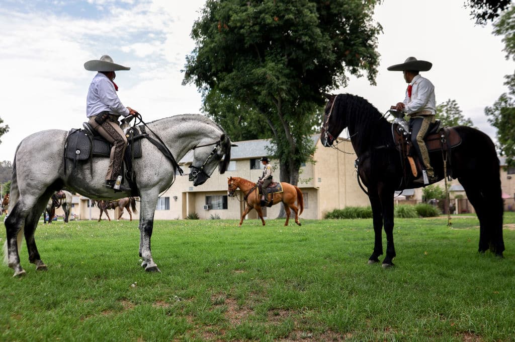 Los jinetes buscaron sombra, tanto para ellos como para los caballos que montaron durante el recorrido.