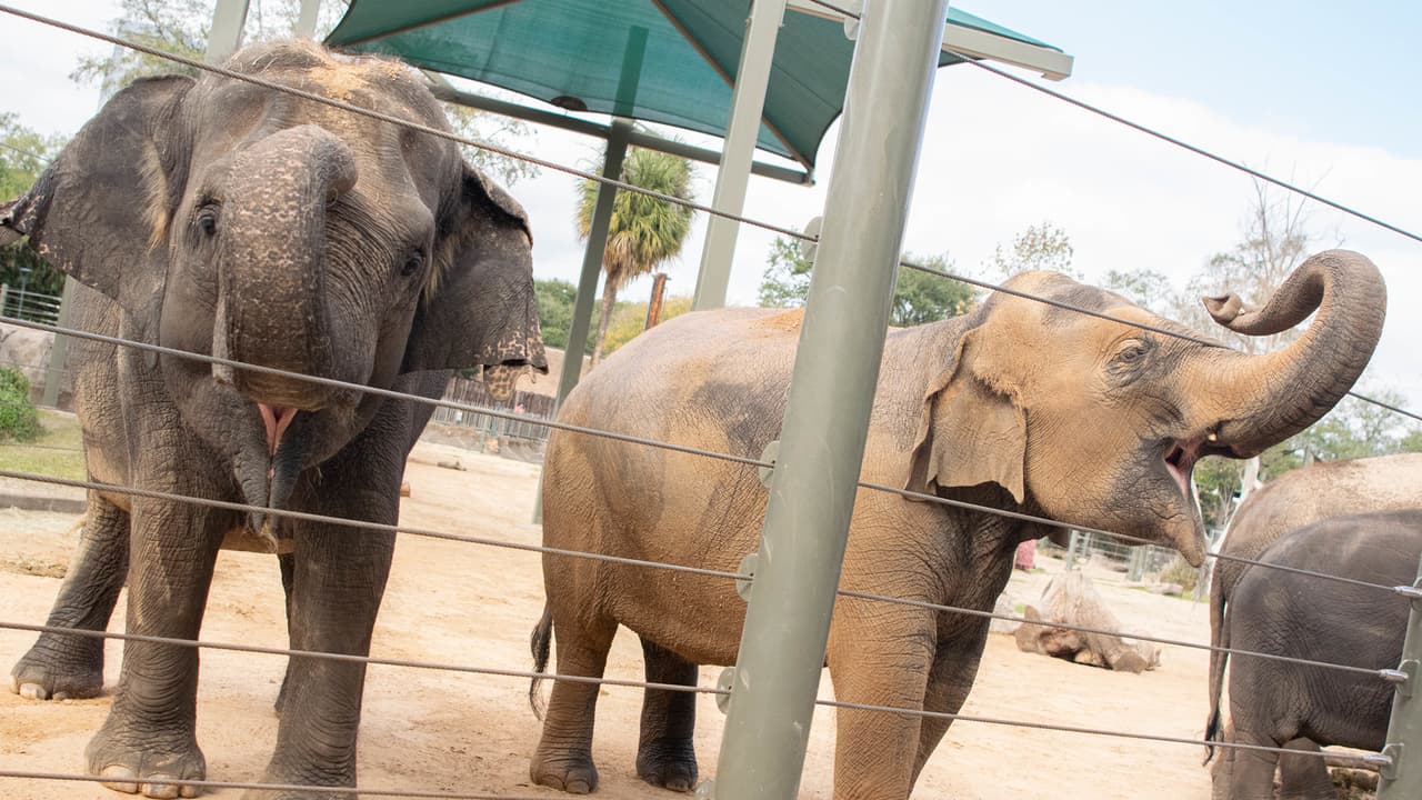 Tupelo tiene 10 años y su madre Tess, 37.