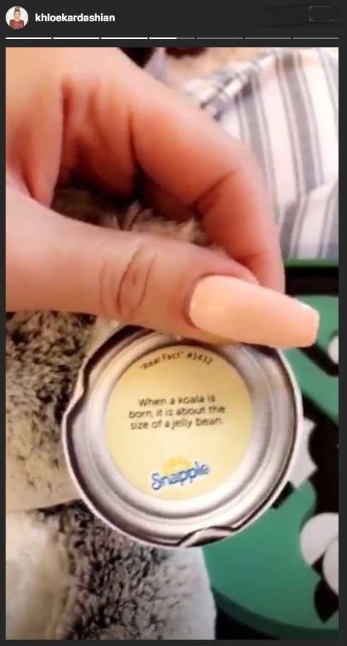 A la estrella le llamó la atención un dato en la tapa de la botella que explica que un 
<b>bebé koala</b> al nacer 
<b>es del tamaño aproximado de un ‘Jelly Bean’</b>.