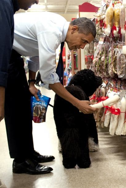 Pero ese no fue el único regalo que el mandatario adquirió para el pequeño perrito, también compró un muñeco para morder.