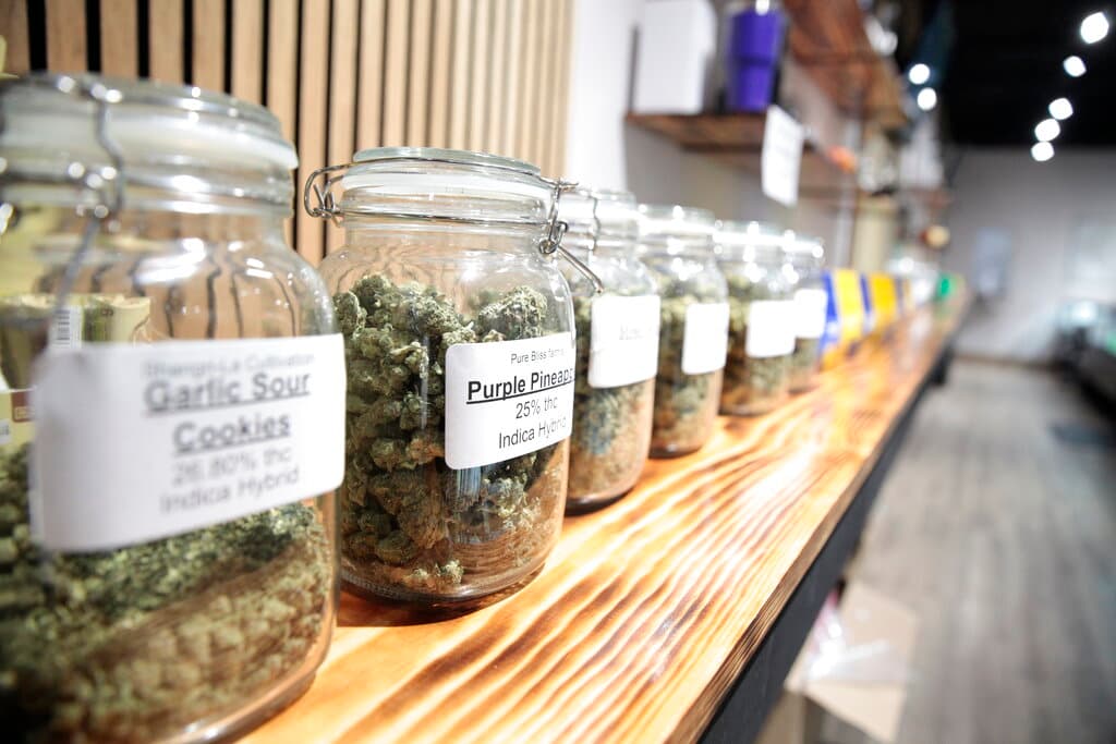 <h3 class="cms-H3-H3">Medida B, sobre el impuesto especial a la cannabis.</h3>
<br>Esta propuesta busca
<b>financiar servicios para personas sin hogar</b> del condado, incluidos los que benefician a American River Parkway, a través de un impuesto especial sobre los ingresos brutos de los negocios de cannabis en las áreas no incorporadas al condado de Sacramento.