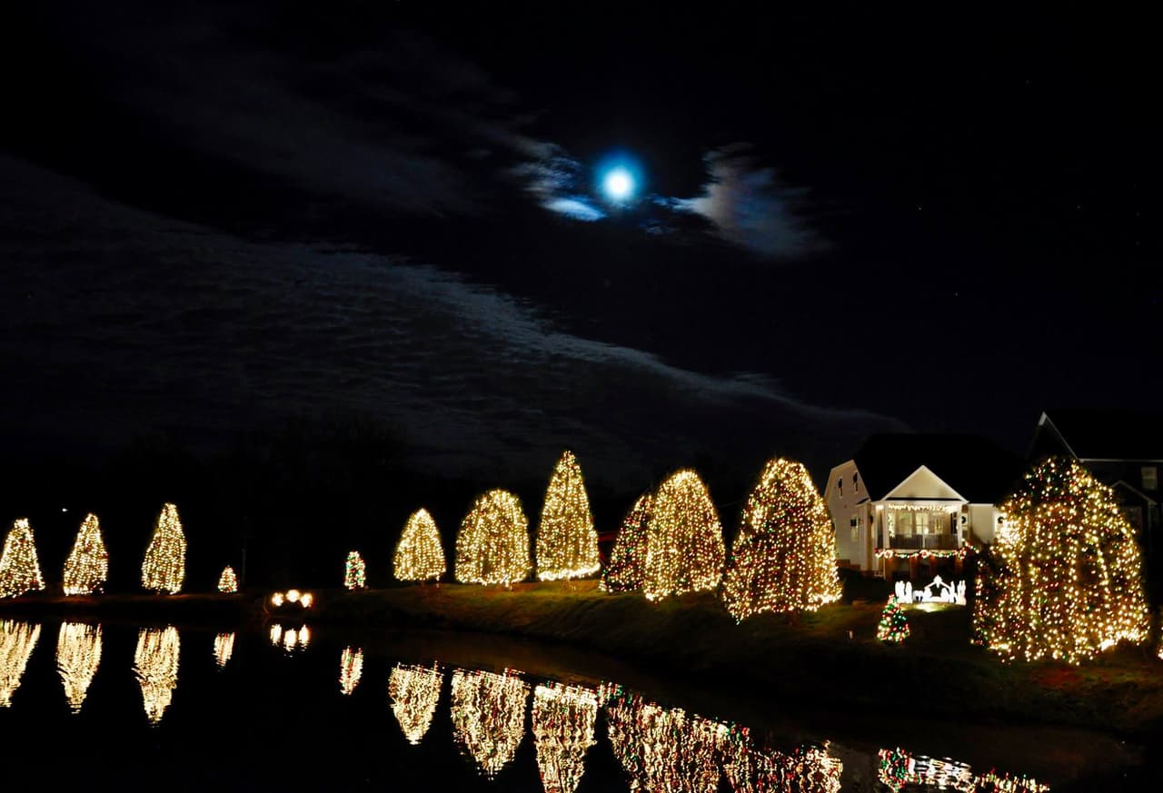 Aquí puedes encontrar 265 árboles de hoja perenne cubiertos por 500.000 luces.