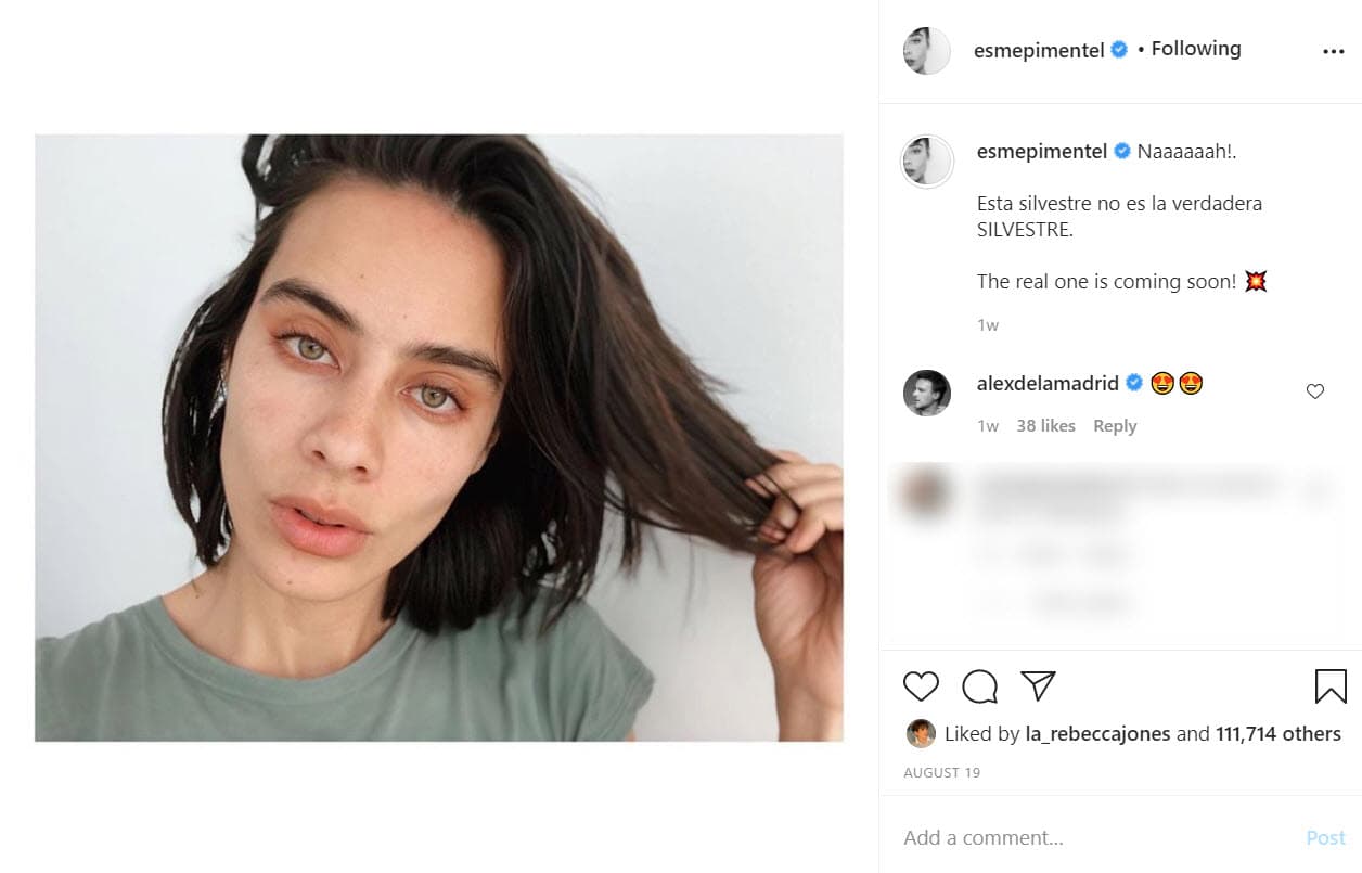 El pasado 19 de agosto compartió esta foto con la siguiente frase: "¡Nah!
<b>Esta Silvestre no es la verdadera Silvestre</b>. ¡La verdadera llegará pronto!", anunció en Instagram.
<br>