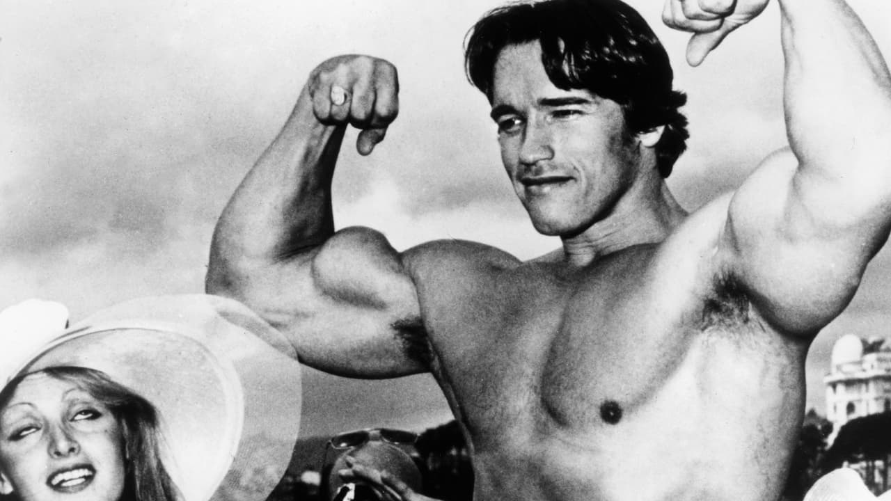 La
<b>tercera propuesta estuvo inspirada en Arnold Schwarzenegger</b>, quien en los años 90 gozaba del estatus de superestrella de Hollywood y era el actor mejor pagado de la industria del cine.