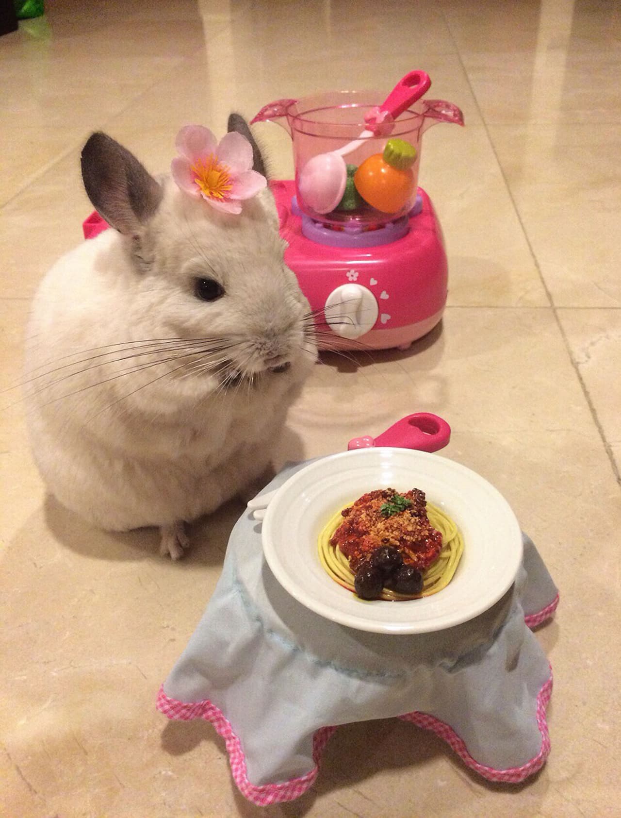 Algunos tienen gustos más refinados y por eso sólo quieren complejos platillos.