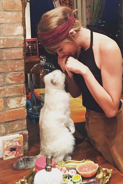 Taylor Swift siempre ha demostrado amor por los gatos y Doctor Meredith Grey y Detective Olivia Benson se van de gira con ella desde noviembre de 2011.