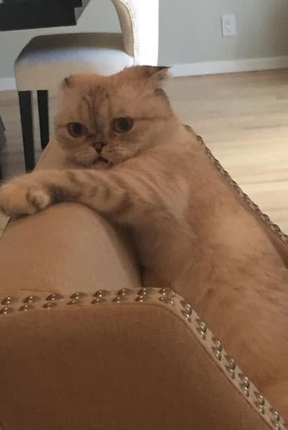 "You seem stressed", ellos también tiene malos días.