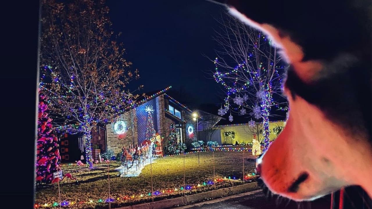 Los horarios de la exhibición son de 6:00 PM a 11:PM, todas las noches del 17 al 25 de diciembre. La entrada es gratuita.