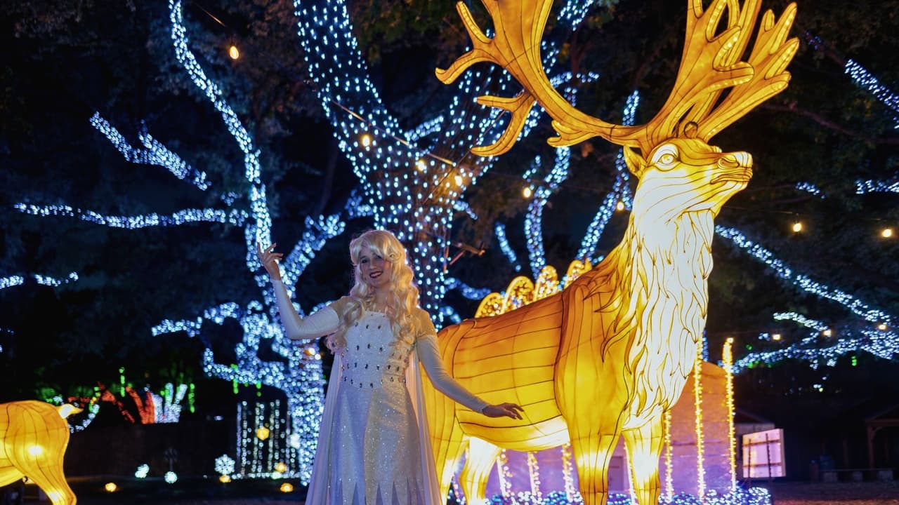 <b>Música en vivo, comida festiva y bebidas como chocolate caliente con licor para adultos</b>. Aunque la mayoría de los animales estarán fuera de vista por la noche, habrá charlas educativas y encuentros con cuidadores durante las primeras horas, lo que convierte al evento en una experiencia educativa además de visual.