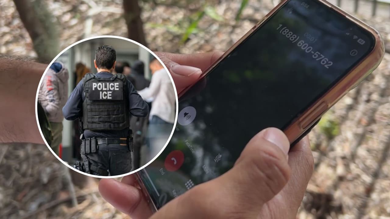 ¿Te detuvo ICE o temes por un familiar? Así puedes recibir orientación telefónica gratuita en Florida