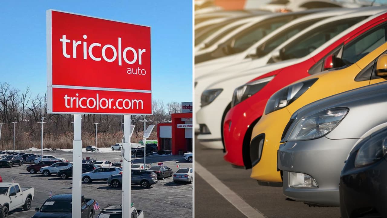 De los lotes a la subasta: el destino de más de 9 mil vehículos de Tricolor Auto