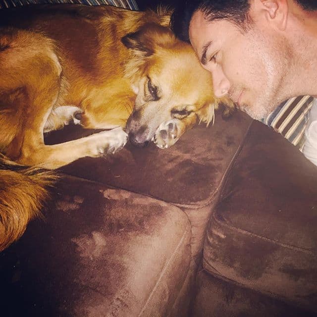 Cuando la encontró el actor informó en sus cuentas sociales que recogió a la cachorrita y que no podía ni moverse.