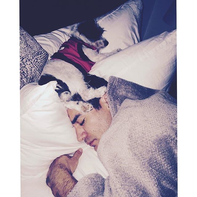 Acaba tan cansado que sus sueños son velados por sus mascotas. Sé ve que son muy amorosas con él.