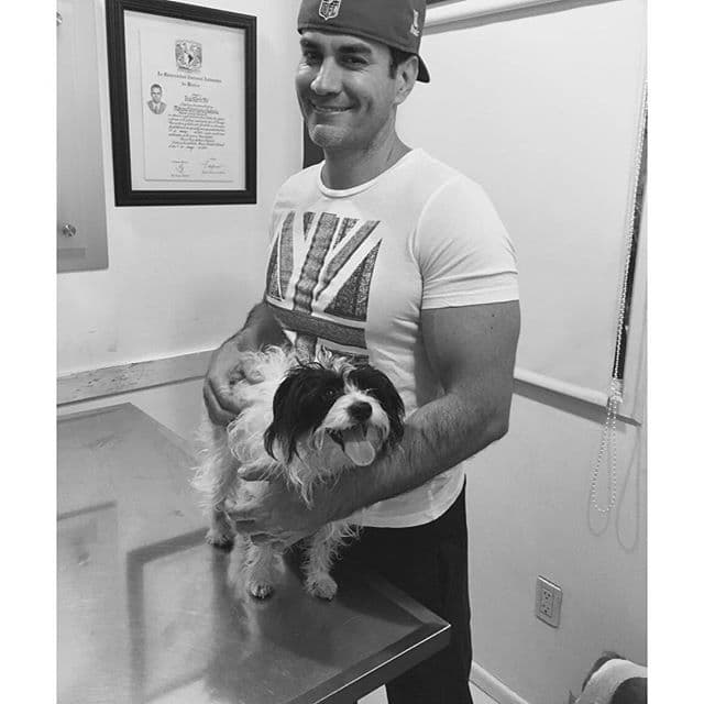 Tiene dos perros que adoptó y los tiene muy bien cuidados.