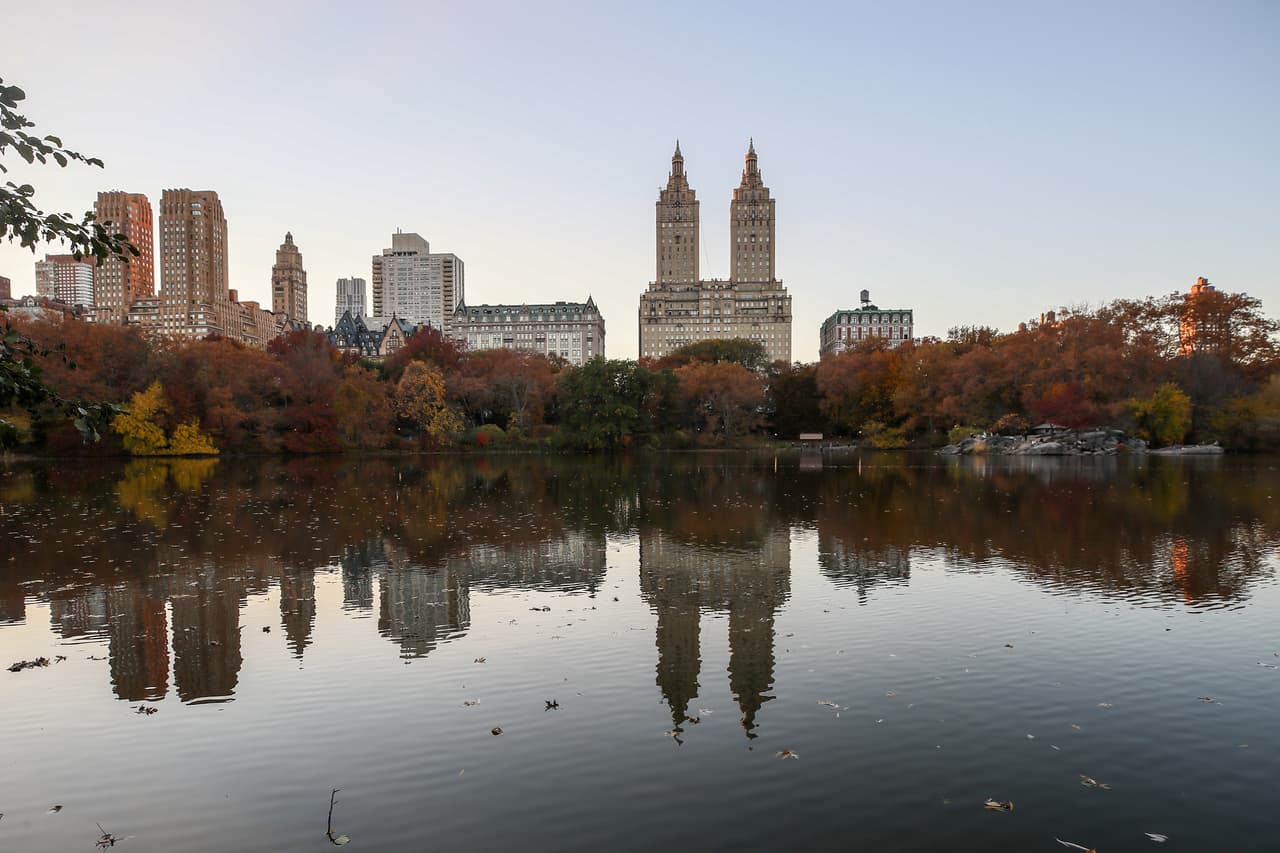 Según el
<a href="https://www.centralparknyc.org/activities/guides/where-to-find-fall-foliage-in-central-park" target="_blank">Central Park Conservancy</a>, a medida que los días se acortan, los árboles detectarán el próximo invierno por el ángulo en el que el sol naciente y el poniente golpea sus hojas.