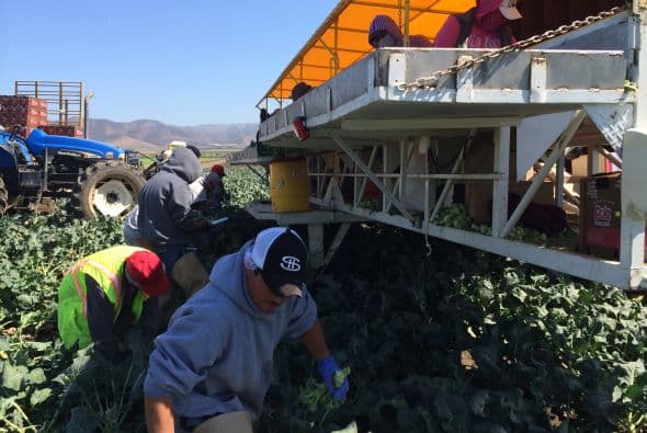 En general los sueldos de los campesinos no han aumentado desde la época de César Chávez, el costo de vida definitivamente sí.