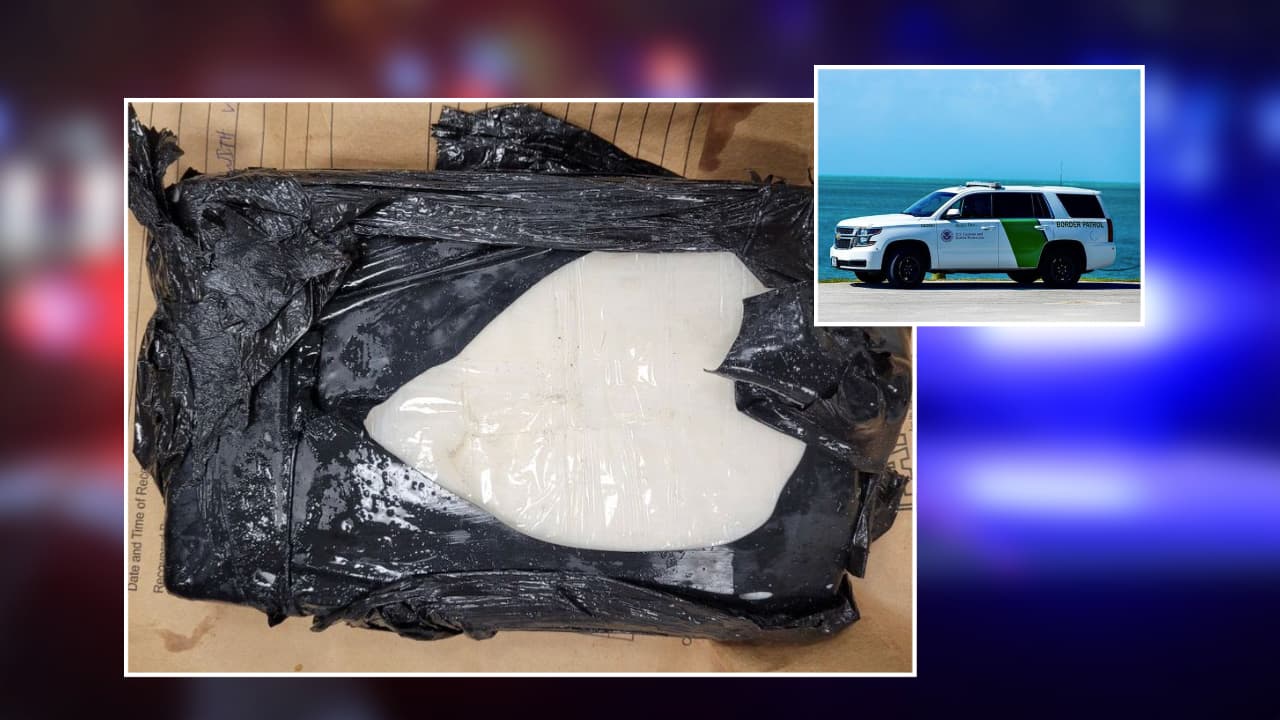 Encuentran paquete con 11 libras de cocaína cerca de la playa en Daytona Beach