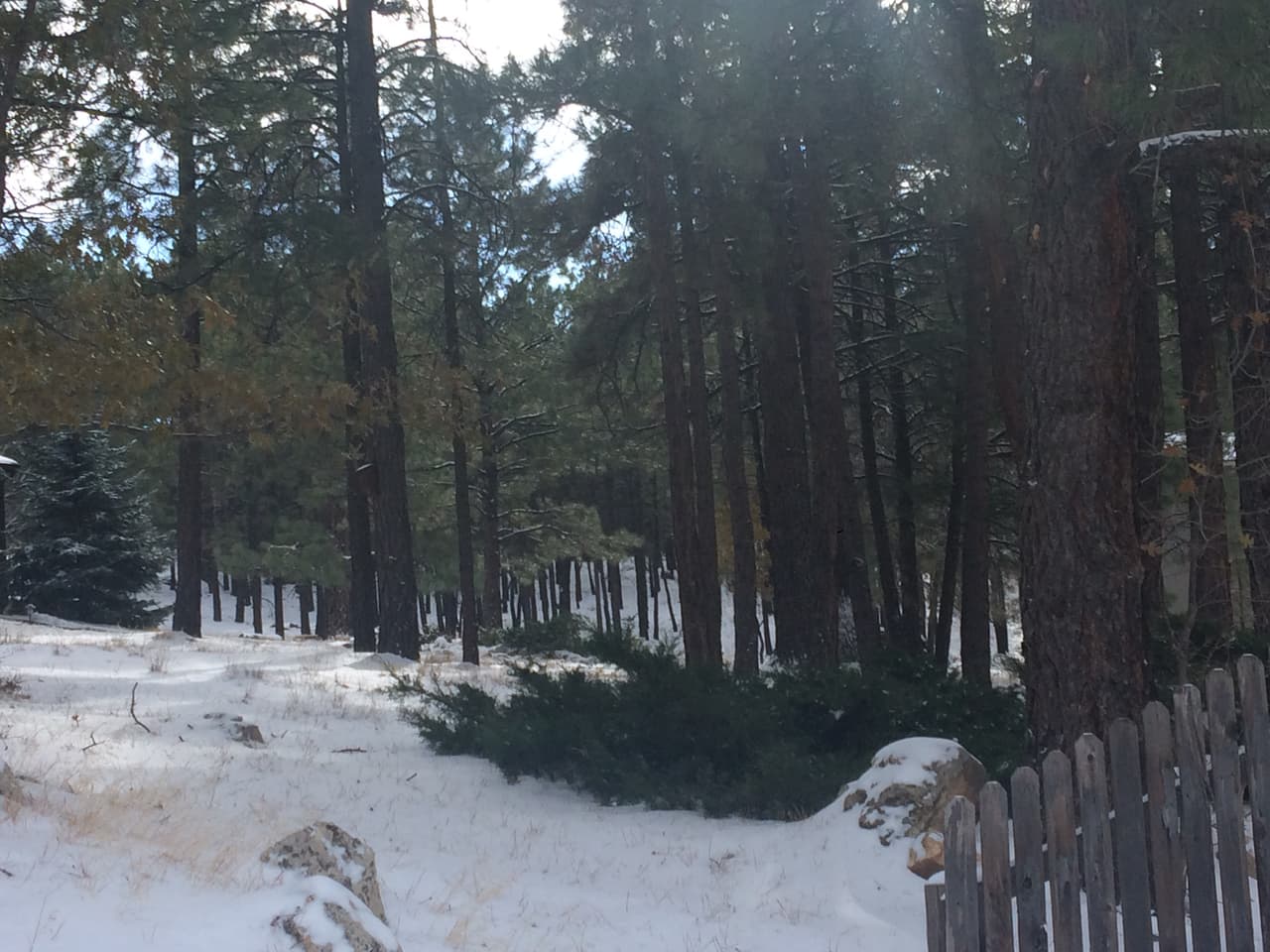 Al norte del estado, se espera que las temperaturas máximas lleguen a los 33 grados Fahrenheit y mínimas de 9. 
<br>