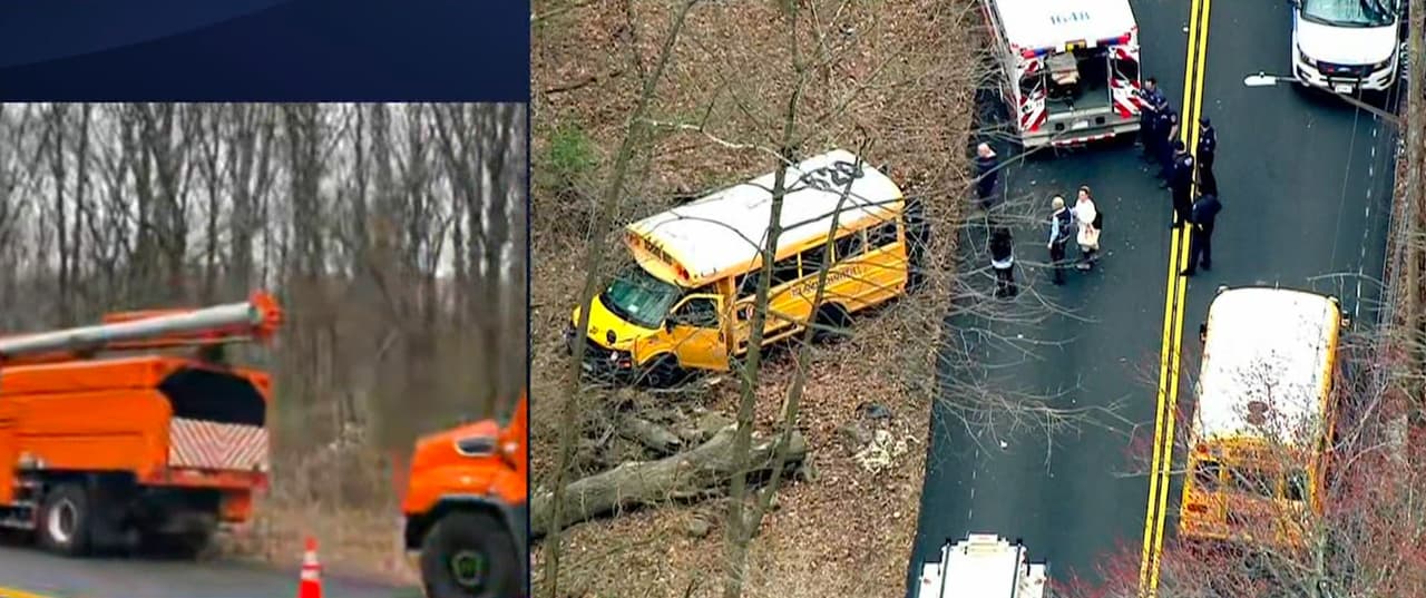 Árbol cae sobre bus escolar en Staten Island: hay 9 heridos