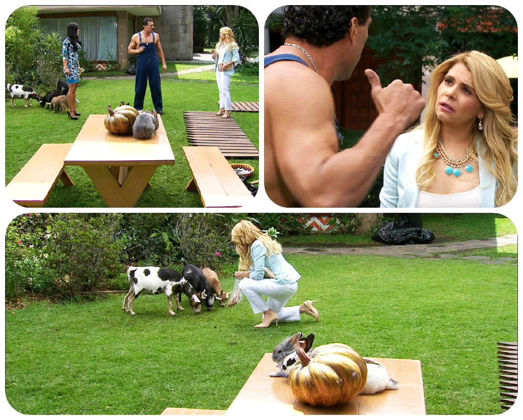 ¿O le darás a Isabel una oportunidad?