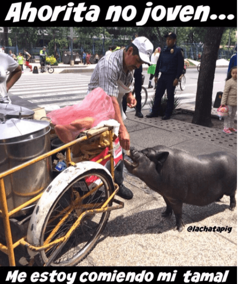 Y claro, La Chata también se permite uno que otro gustito.
