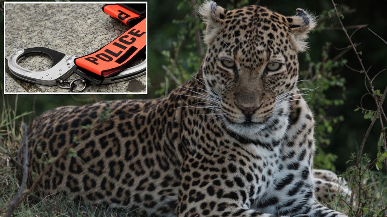 FBI acusa a un dentista de Arizona de matar a su esposa en un viaje de caza a África