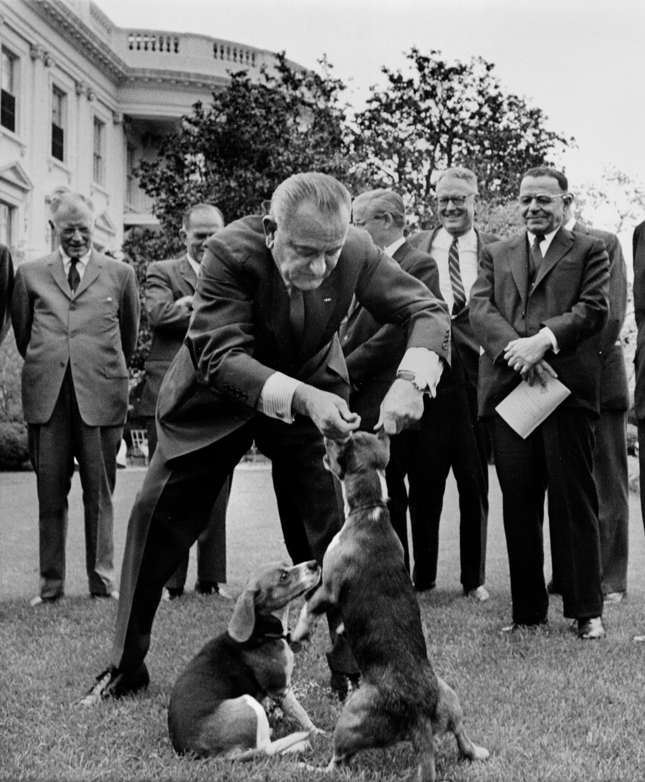 Lindon Jhonson sucedió a Kennedy tras su asesinato y tuvo seis perros. En la fotografía de 1964 el mandatario junto a 'Ella' y 'El', dos de sus cachorros de raza
<i> Beagle</i>.