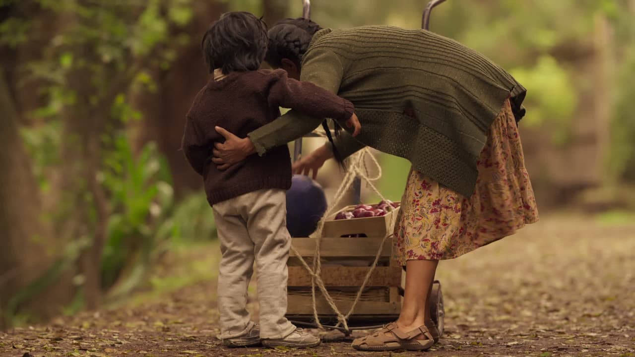 Otro recuerdo de Arturo es la pelota de colores cerca del río