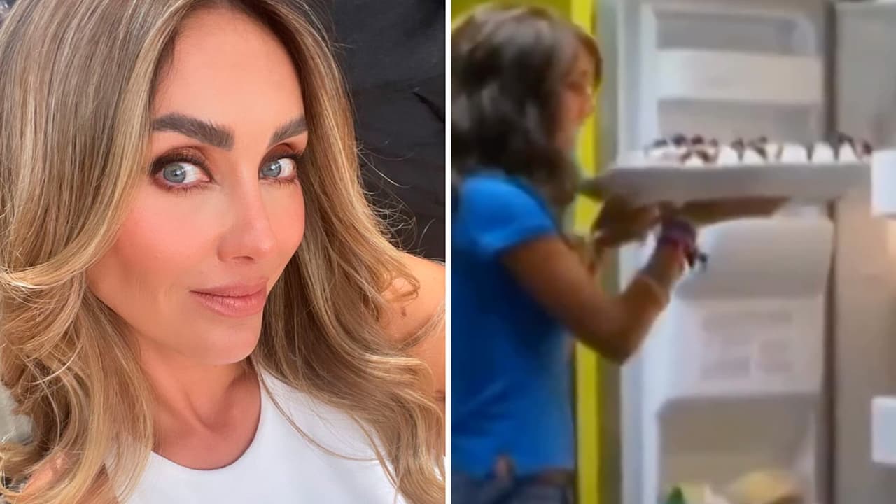 Anahí metió un pastel al refrigerador hace 17 años y mostró qué pasó con él