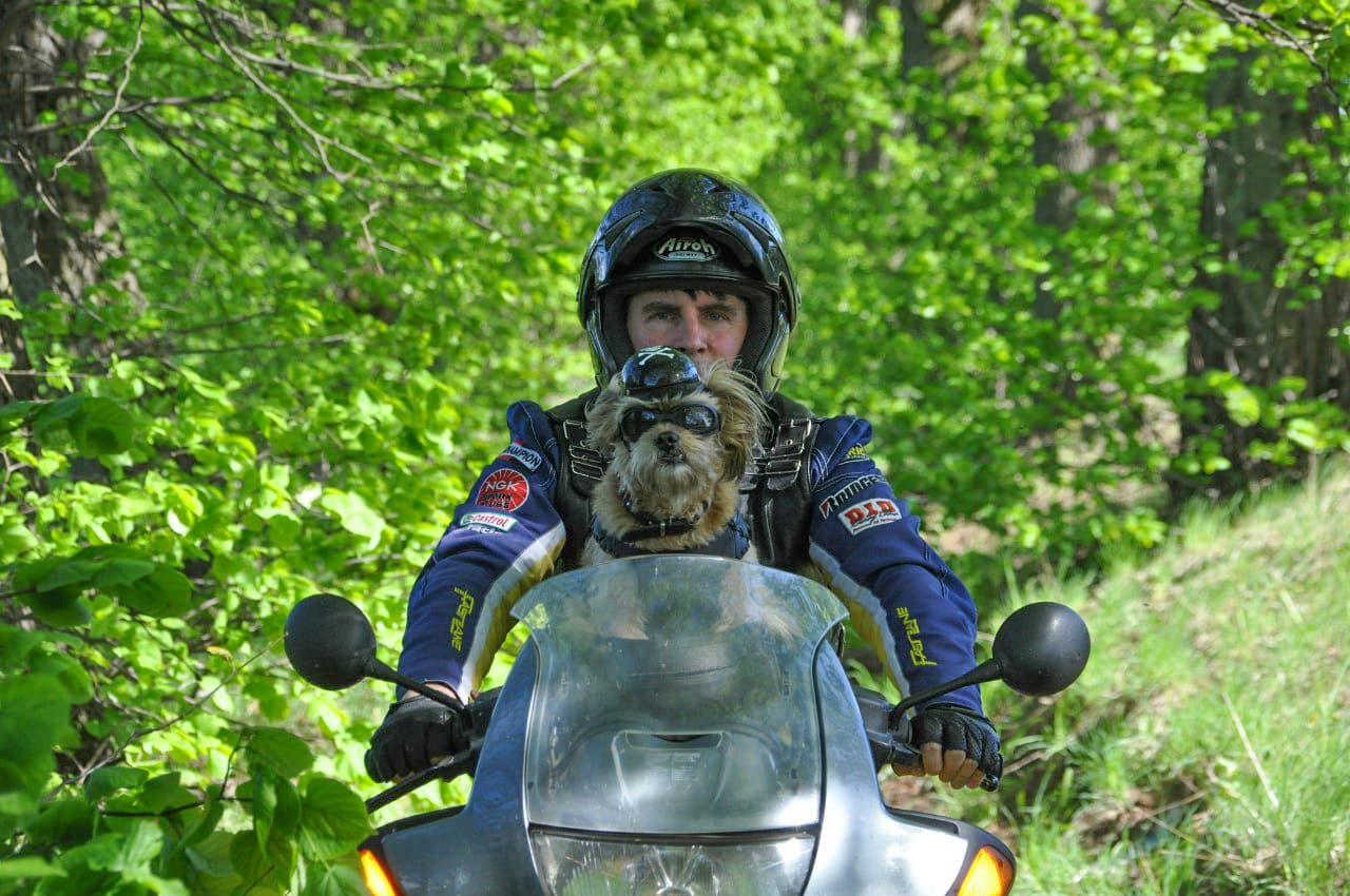 Robert Molis encontró encadenado a este perrito en la villa de Kalinino, en Kaliningrado.