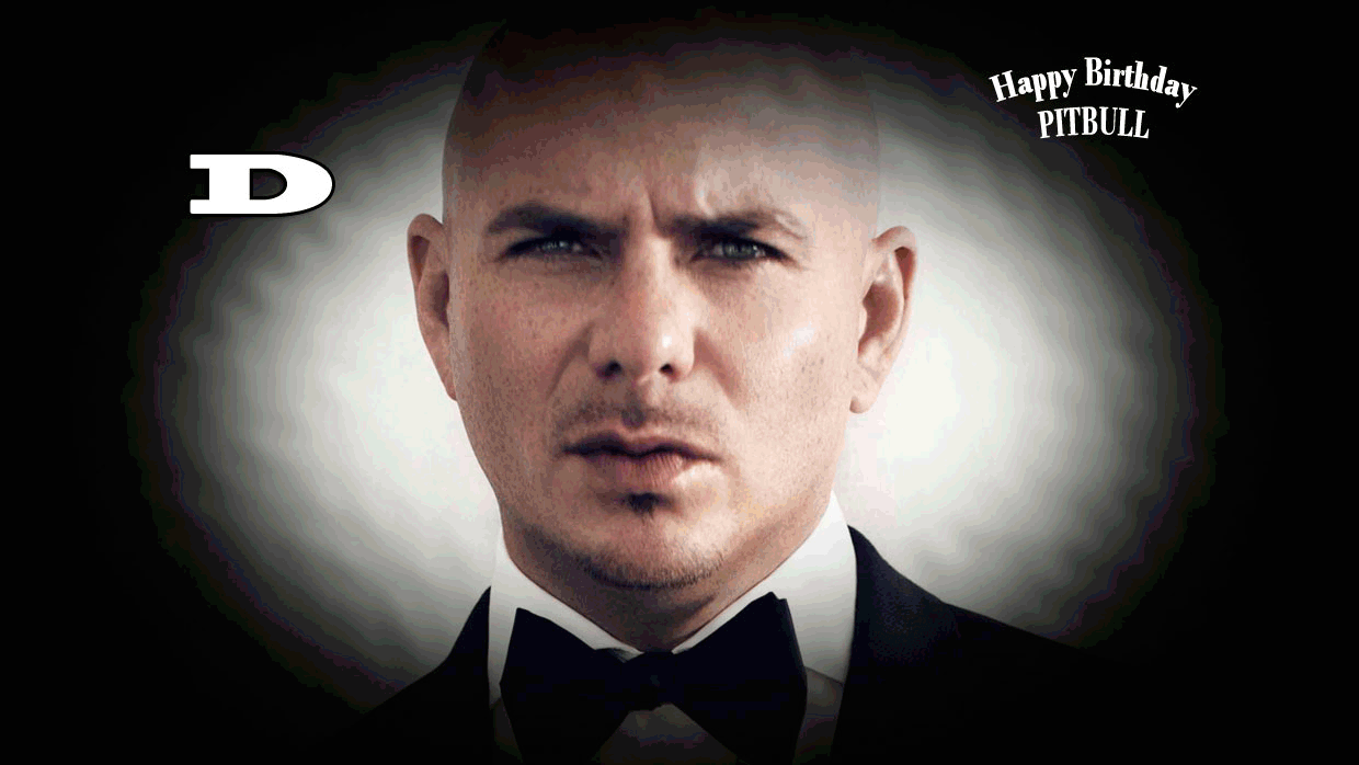 Armando Christian Pérez, el mismísimo Mr. 305, celebró el domingo 15 de enero su cumpleaños 36 y lo hace con todo el éxito del mundo.