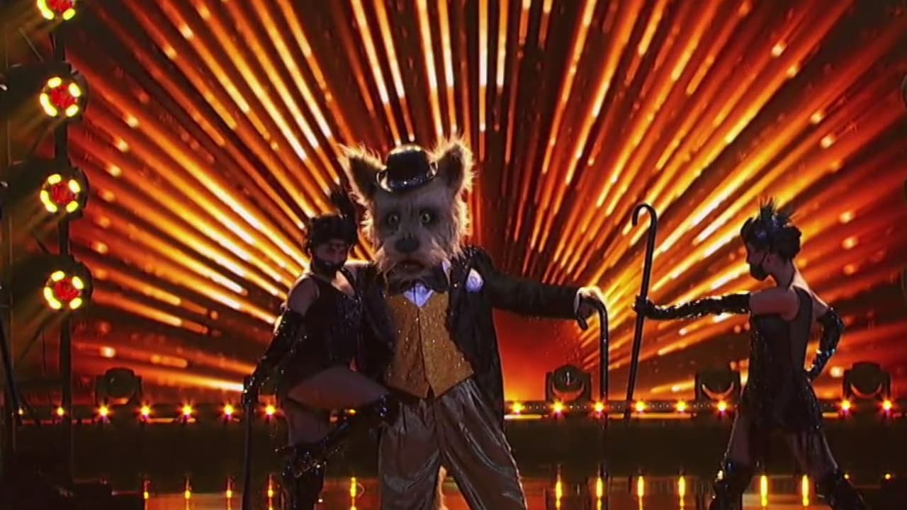 Perro Callejero al final se enfrentó en un duelo con Sirena y aunque no resultó ganador sí se divirtió en el escenario.